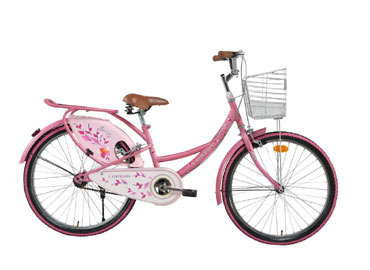 Road Cycle-BSA Lady Bird Breeze Bicycle