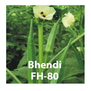 bhendi seeds, Farm House