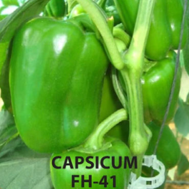 Capsicum seeds, Farm House