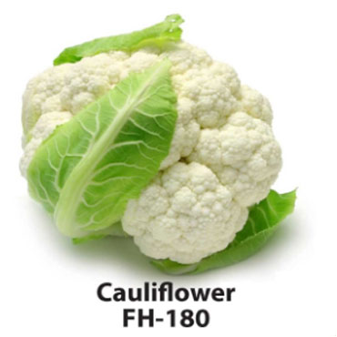 Cauliflower, Farm House